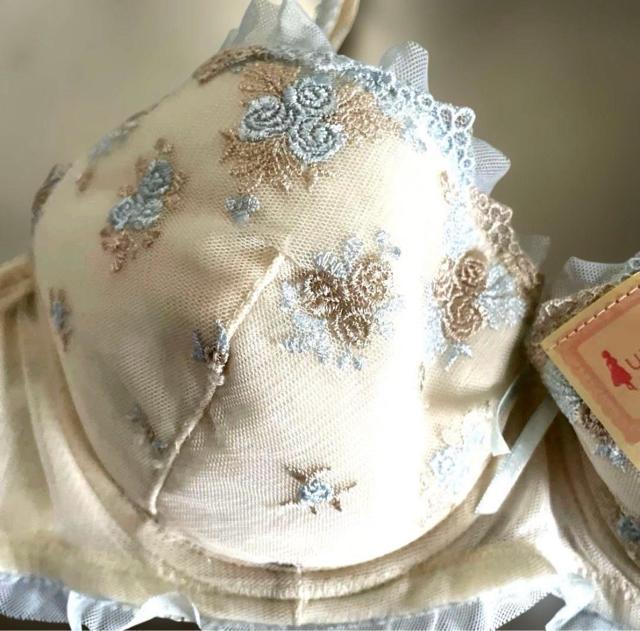 [�V�i] �K�N�h�J����t�������{���@�u���W���[�@C75 �� �����t�@�b�V������ 