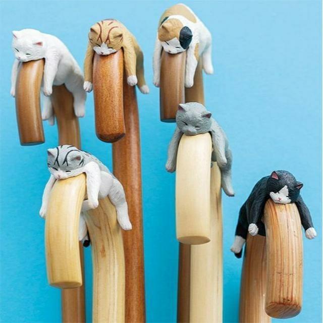 ����`��˂��̎P�^�O�������ŐQ���Ⴄ�́H�����L���V�����t�F���V���� �� �y�b�g/��|/���|�� 