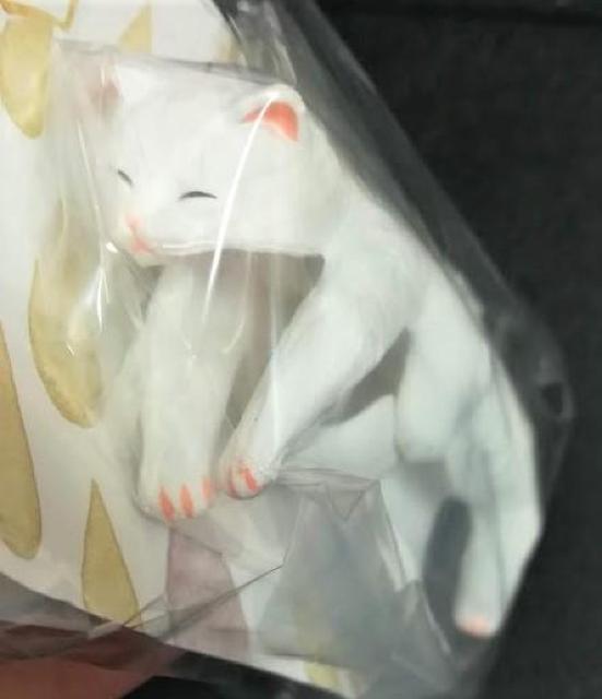 ����`��˂��̎P�^�O�������ŐQ���Ⴄ�́H�����L���V�����t�F���V���� �� �y�b�g/��|/���|�� 