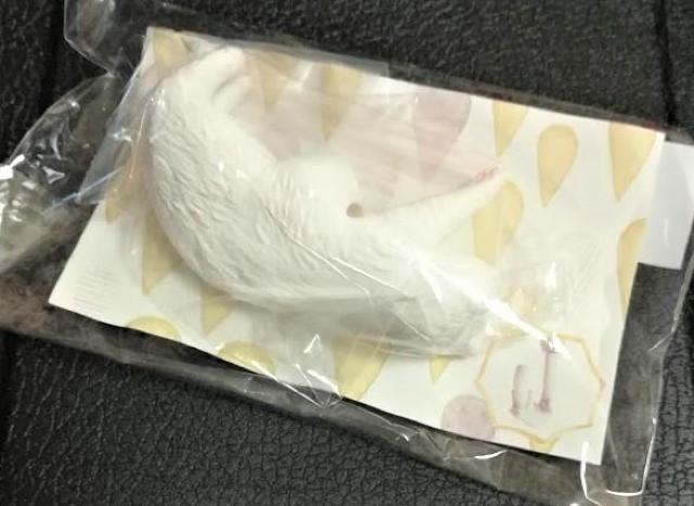 ����`��˂��̎P�^�O�������ŐQ���Ⴄ�́H�����L���V�����t�F���V���� �� �y�b�g/��|/���|�� 