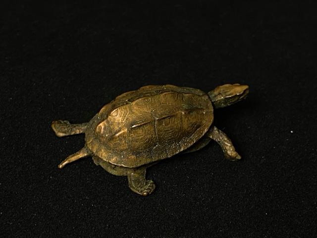 �y�����z�Ó� ���b �K�T �u�� ���㕨 �� ���� ���� ���N�� ?�� �����Ê� ���� ���H���p ���� �o�N�� �J�^�y�T�z �� �C���e���A/���C�t�� 