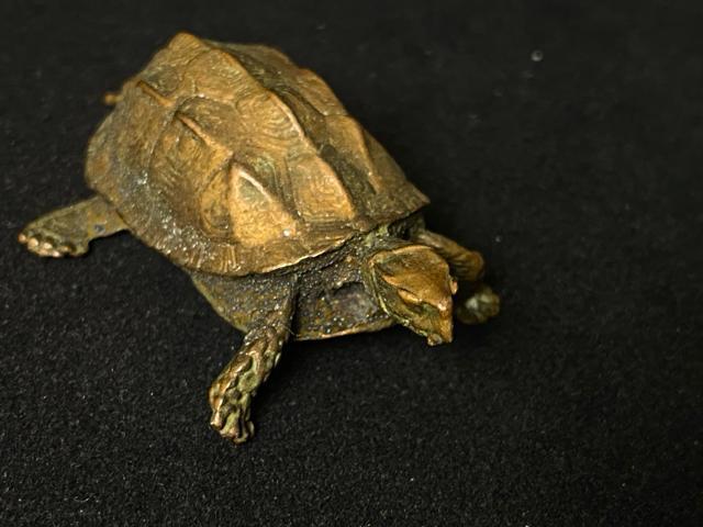 �y�����z�Ó� ���b �K�T �u�� ���㕨 �� ���� ���� ���N�� ?�� �����Ê� ���� ���H���p ���� �o�N�� �J�^�y�T�z �� �C���e���A/���C�t�� 