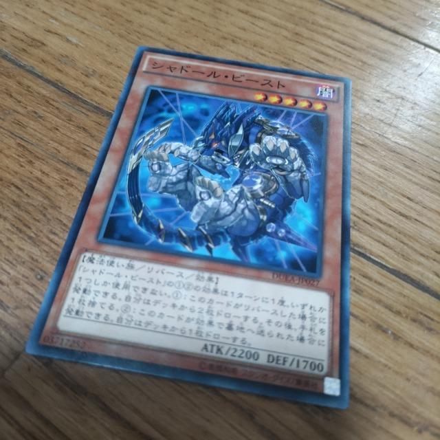 �V�Y�� �V���h�[���r�[�X�g  �� �g���[�f�B���O�J�[�h�� 