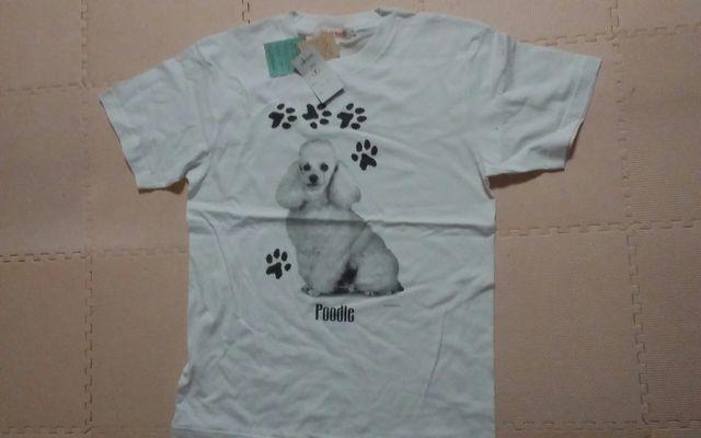 Vi@Poodlle  v[h@t[TCY   jt@bV 