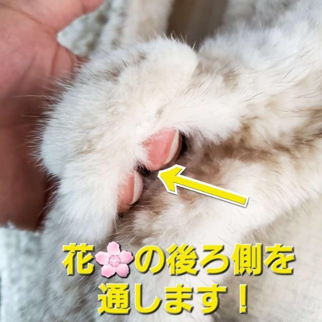 送料込み★高級毛皮★サファイアミンクマフラー★ < 女性ファッション 送料込み★高級毛皮★サファイアミンクマフラー★ < 女性ファッションの