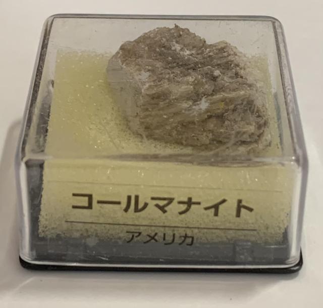 yzfBASXeB[j gW[Xg[ R[}iCg AJ ẑ qȂ   zr[ 