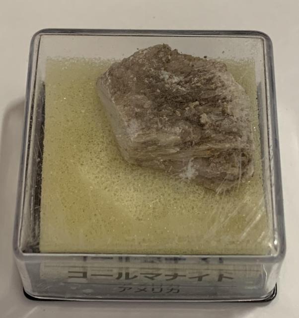 yzfBASXeB[j gW[Xg[ R[}iCg AJ ẑ qȂ  zr[ 