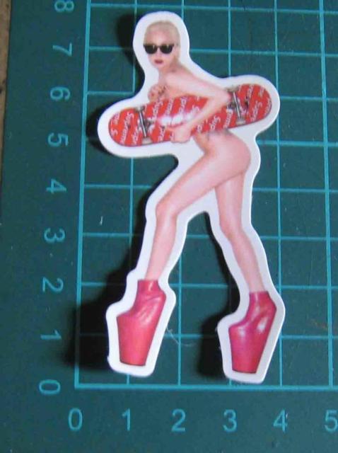 �X�P�{�[�E�K�[���@�X�P�[�g�{�[�g�@���@�X�e�b�J�[  �� �z�r�[�� 