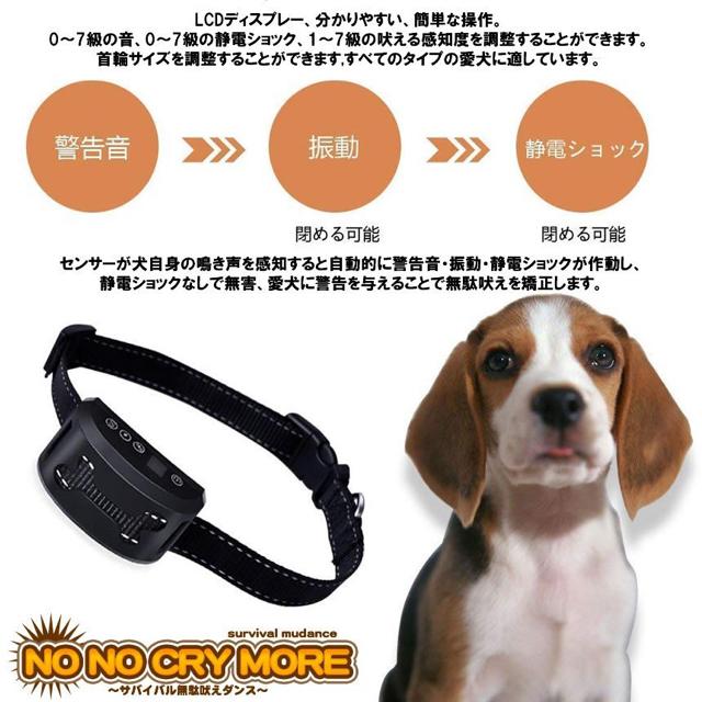 m[m\NCMORE ZT[t ʖih~  ybg/|/| 