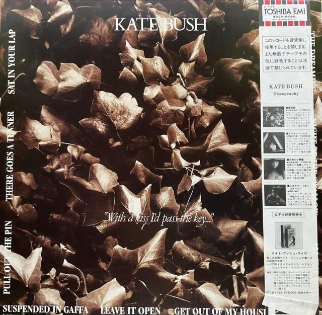 ドリーミング / ケイト ブッシュ < CD/DVD/ビデオ ドリーミング / ケイト ブッシュ < CD/DVD/ビデオの