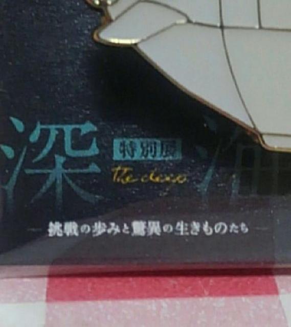 しんかい6500 ピンバッジ < ホビー しんかい6500 ピンバッジ < ホビーの