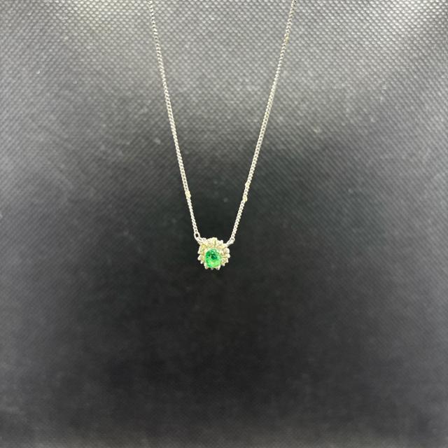 ���� Pt850 �v���`�i 0.10 E0.29 �l�b�N���X  �� �����A�N�Z�T���[/���v�� 