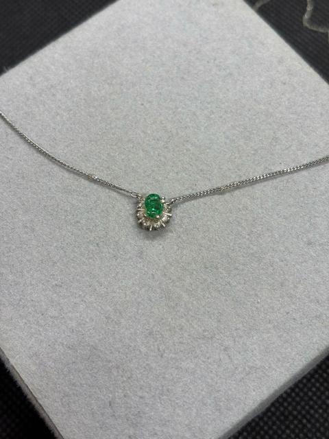 ���� Pt850 �v���`�i 0.10 E0.29 �l�b�N���X �� �����A�N�Z�T���[/���v�� 