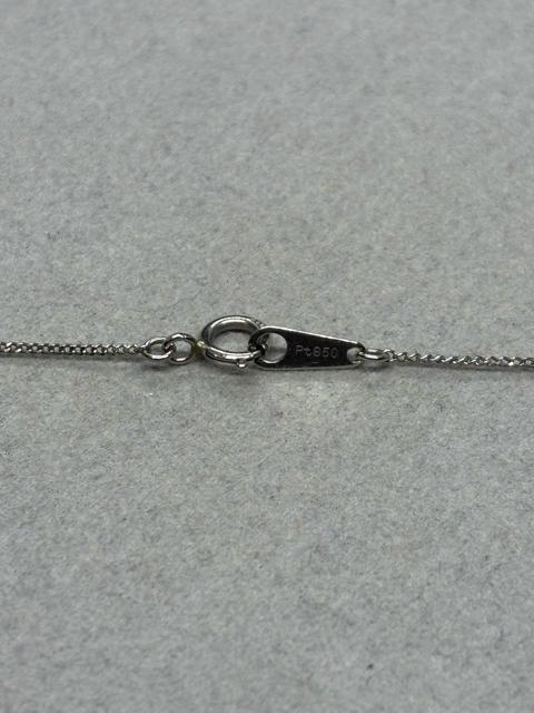 ���� Pt850 �v���`�i 0.10 E0.29 �l�b�N���X �� �����A�N�Z�T���[/���v�� 