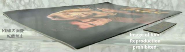 バード オン ワイヤー Bird on a Wire 映画 パンフレット 本 1990 メル ギブソン Mel Gibson Bi < ホビー バード オン ワイヤー Bird on a Wire 映画 パンフレット 本 1990 メル ギブソン Mel Gibson Bi < ホビーの