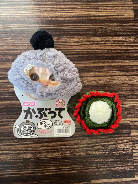L 蕨   ybg/|/| 