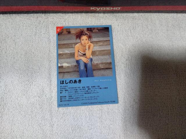 �g���J �ق��̂��� #7 '05 �K�[���Y #16 �� �^�����g�O�b�Y�� 