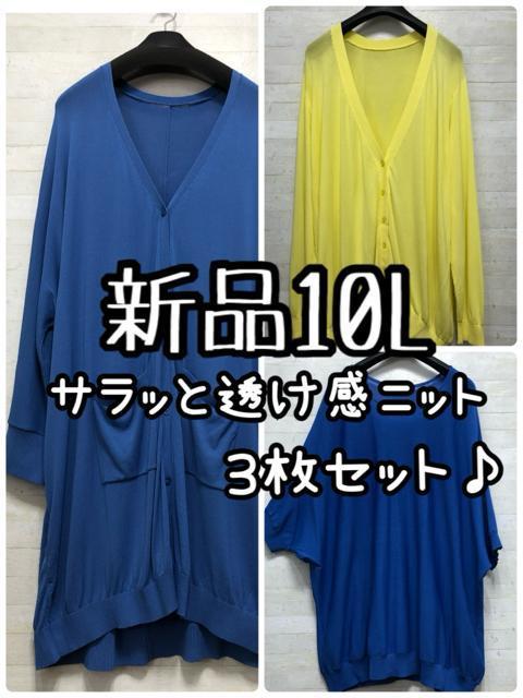 Vi10L􂳂Ƒfނ̓jbg3Zbg􃍃OJ[fBKQ537   t@bV 