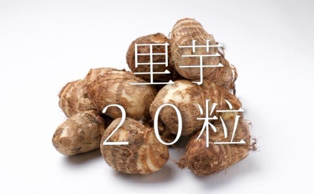 �����̎�q�Q�O���{���S���S�����z���ł��_(^o^)�^  �� �y�b�g/��|/���|�� 