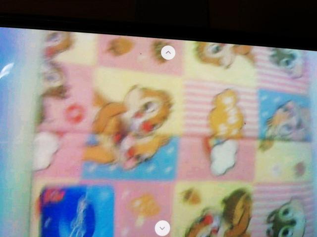 ちップ&で〜ルかけふとんカヴァ〜シングルサイズ150×200a < ホビー  ちップ&で〜ルかけふとんカヴァ〜シングルサイズ150×200a < ホビーの