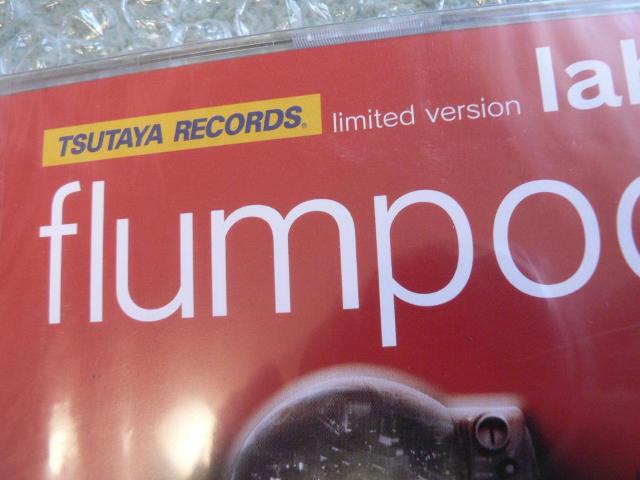 ViJflumpool^CfB[YCDwlabo^LOSTxyTSUTAYAՁzɂoi  ^gObY 