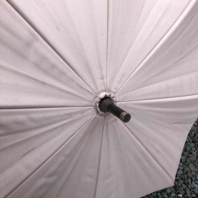  Rose Blanc P P  ANZT[/v 