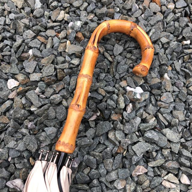  Rose Blanc P P  ANZT[/v 