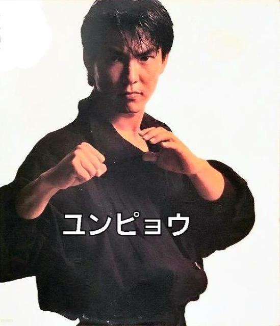 ☆ユン・ピョウin『ドラ息子カンフー』デジタル・リマスター版 < CD/DVD/ビデオ  ☆ユン・ピョウin『ドラ息子カンフー』デジタル・リマスター版 < CD/DVD/ビデオの