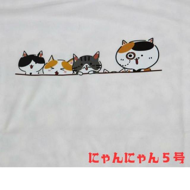 LDɂ͂܂ȂILCXgTVcLTVc eqŎUlR 킢CXg  k  t@bV 