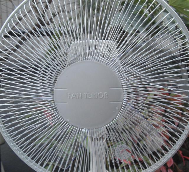 YUASA/YT-3006M(WH)30cm扇風機,中古完動品!!02.15 < 家電/AV  YUASA/YT-3006M(WH)30cm扇風機,中古完動品!!02.15 < 家電/AVの