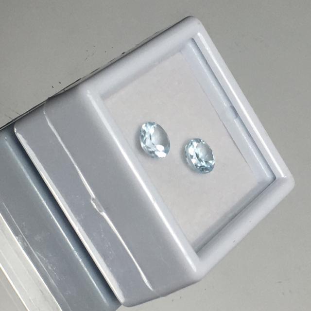 s[XNo.050tVR΃u[gp[Y@΁@΁@EhuAg@QZbg  CeA/Ct 