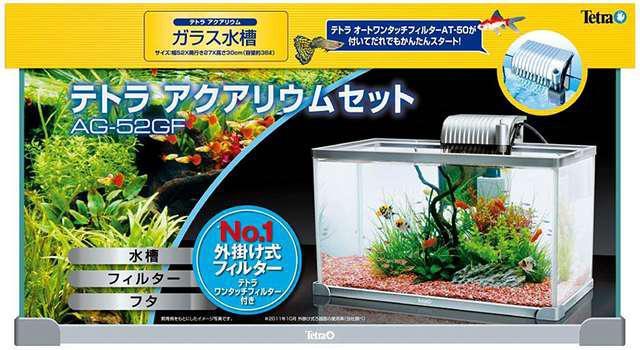 eg (Tetra) ANAEZbg  ybg/|/| 