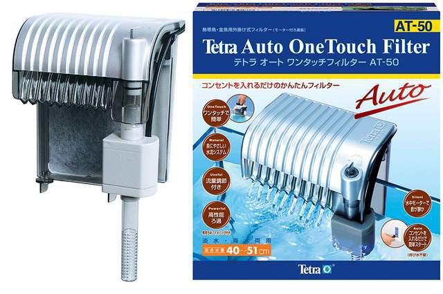 eg (Tetra) ANAEZbg  ybg/|/| 