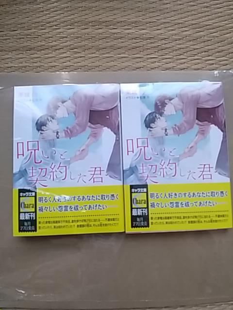 呪いと契約した君へ    栗城偲/松基羊 < 本/雑誌  呪いと契約した君へ    栗城偲/松基羊  < 本/雑誌の