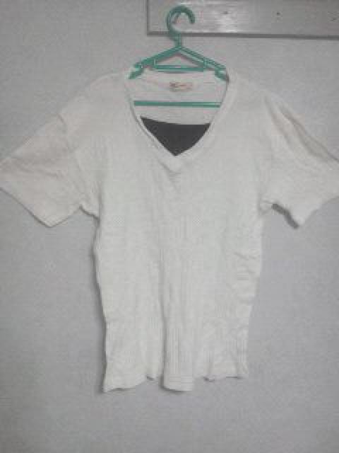 F[155YXgCvnC[hVc LL   jt@bV 