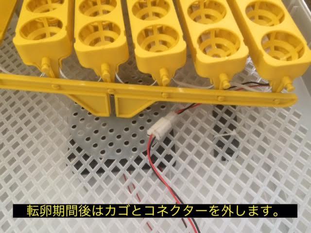 孵化器LED-56  自動転卵 キャンドリング機能付 新品 孵卵器 < ペット/手芸/園芸  孵化器LED-56  自動転卵 キャンドリング機能付 新品 孵卵器 < ペット/手芸/園芸の