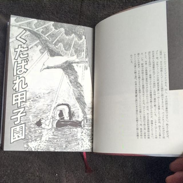 『異色野球漫画短編集・変華球』小学館 < アニメ/コミック/キャラクター 『異色野球漫画短編集・変華球』小学館 < アニメ/コミック/キャラクターの