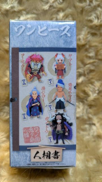 ワンピース ワールドコレクタブルフィギュア -ワノ国鬼ヶ島編9- 四十三 カイドウせ < アニメ/コミック/キャラクター ワンピース ワールドコレクタブルフィギュア -ワノ国鬼ヶ島編9- 四十三 カイドウせ < アニメ/コミック/キャラクターの