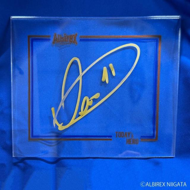 #11 �_�j�[�� �S���X�I�� ���M�T�C������MOM�A�N�����p�l���i����Z�b�g�j �� ���W���[/�X�|�[�c�� 