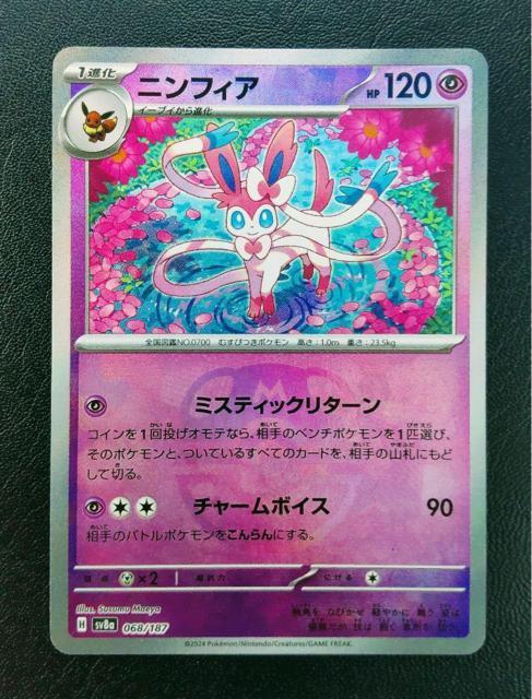 �j���t�B�A �e���X�^���t�F�X �}�X�^�[�{�[�� 