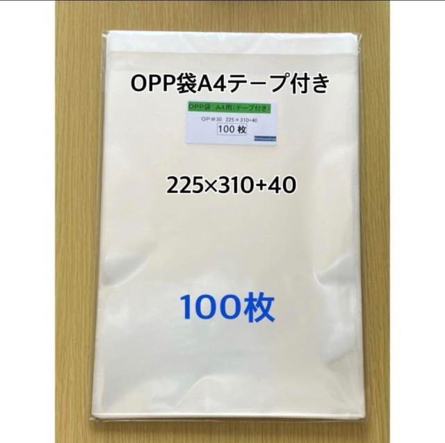 ViOPP܁@A4TCY@@ie[vtj100 