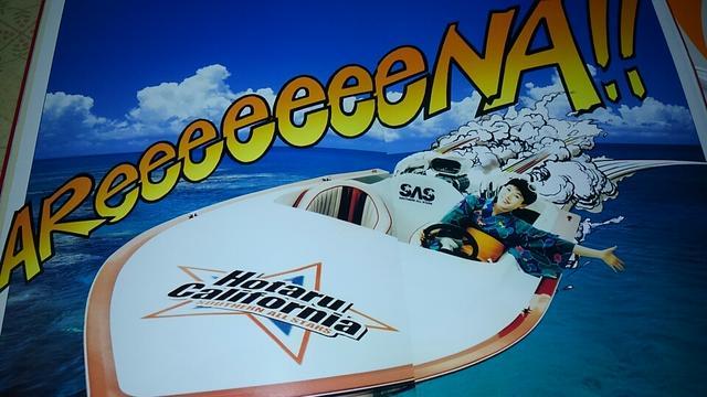 サザンオールスターズ1995ホタルカリフォルニアのパンフレット < タレントグッズ  サザンオールスターズ1995ホタルカリフォルニアのパンフレット < タレントグッズの