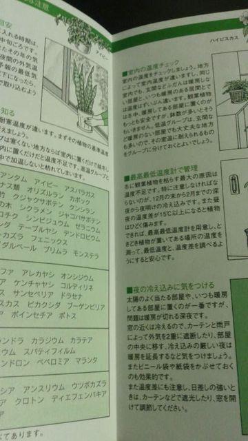 ガーデニング、観葉植物の越冬冊子 < ペット/手芸/園芸 ガーデニング、観葉植物の越冬冊子 < ペット/手芸/園芸の