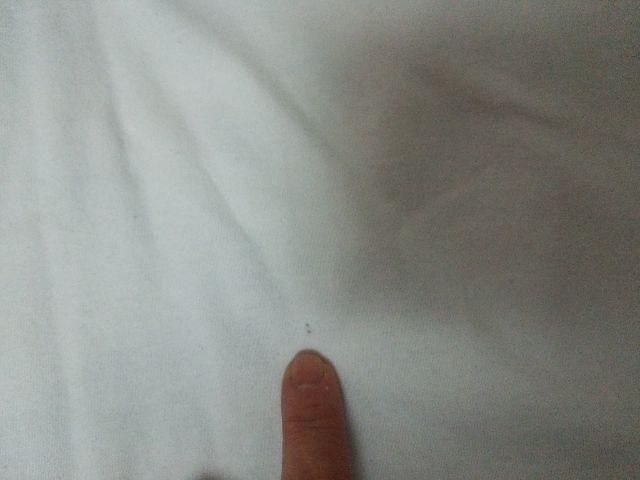 送料半額♪NIKEロゴ&マ-ク目立ち色鮮やかヽ(´▽`)/♪ < ブランド  送料半額♪NIKEロゴ&マ-ク目立ち色鮮やかヽ(´▽`)/♪ < ブランドの