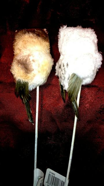 Vi  tNE u  K[f sbN I[ig   CeA/Ct 