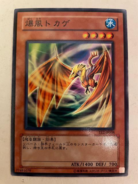 遊戯王【水・爆風トカゲ】 < トレーディングカード  遊戯王【水・爆風トカゲ】  < トレーディングカードの