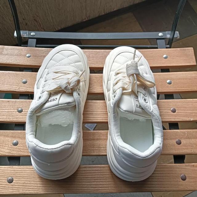 Vi 23.5cm fB[X Xj[J[ zCg V[Y C [Jbg  t@bV 