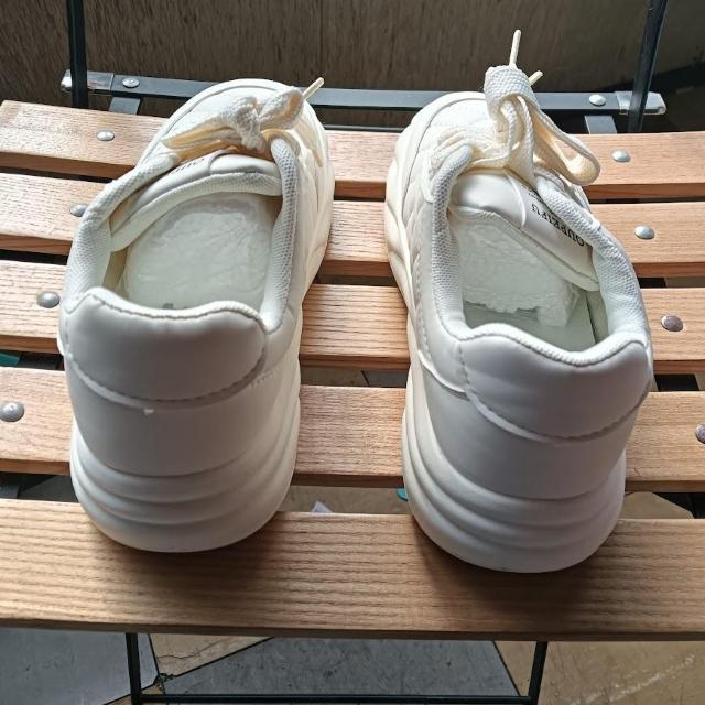 Vi 23.5cm fB[X Xj[J[ zCg V[Y C [Jbg  t@bV 