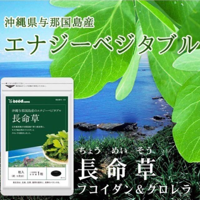 長命草 フコイダン クロレラ入り サプリメント 約3ヵ月分 健康食品 < グルメ/ドリンク  長命草 フコイダン クロレラ入り サプリメント 約3ヵ月分 健康食品 < グルメ/ドリンクの