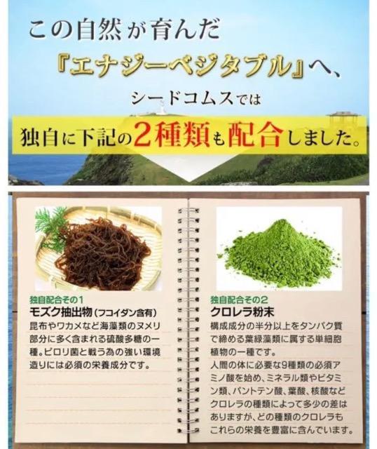長命草 フコイダン クロレラ入り サプリメント 約3ヵ月分 健康食品 < グルメ/ドリンク  長命草 フコイダン クロレラ入り サプリメント 約3ヵ月分 健康食品 < グルメ/ドリンクの